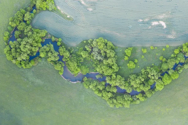 Letecký Pohled Řeku Klikatí Bujné Zelené Vegetaci Delty Krásná Krajina — Stock fotografie