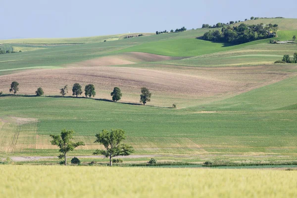 Dramatic Sunset Agricultural Landscape Aerial Shot Countryside Landscape Summer Spring — Φωτογραφία Αρχείου