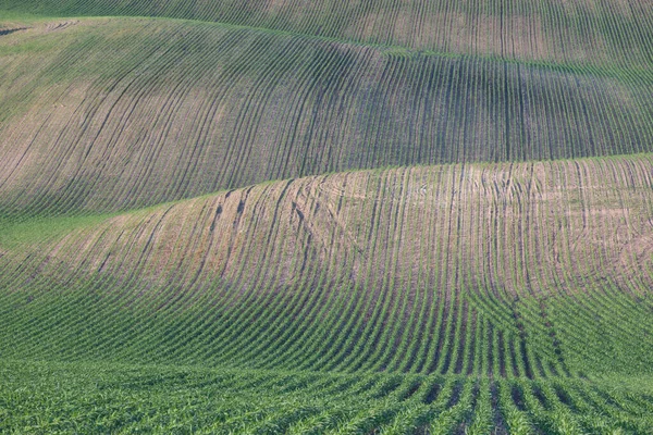 Dramatic Sunset Agricultural Landscape Aerial Shot Countryside Landscape Summer Spring — Photo