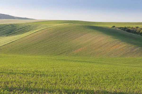 Dramatic Sunset Agricultural Landscape Aerial Shot Countryside Landscape Summer Spring — Fotografia de Stock