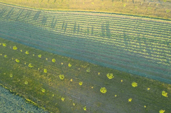 Romantischer Sonnenuntergang Über Der Agrarlandschaft Luftaufnahme Landschaft Sommer Oder Frühling — Stockfoto