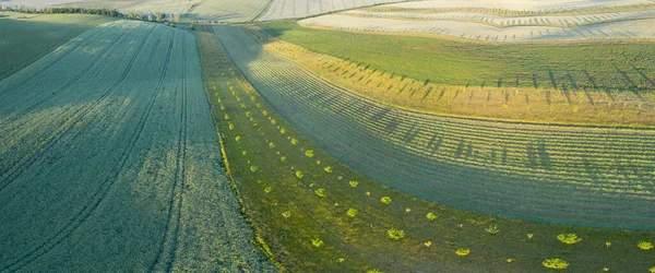 Romantischer Sonnenuntergang Über Der Agrarlandschaft Luftaufnahme Landschaft Sommer Oder Frühling — Stockfoto