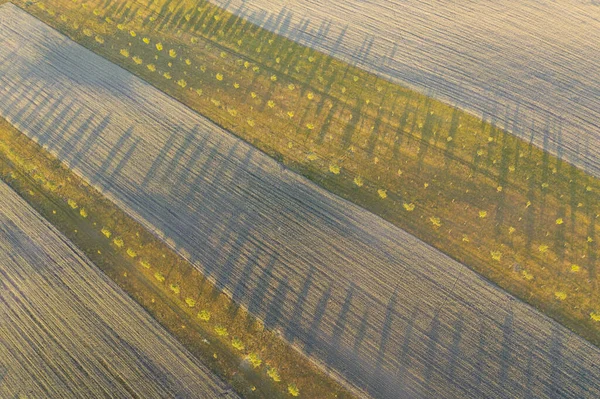 Romantischer Sonnenuntergang Über Der Agrarlandschaft Luftaufnahme Landschaft Sommer Oder Frühling — Stockfoto