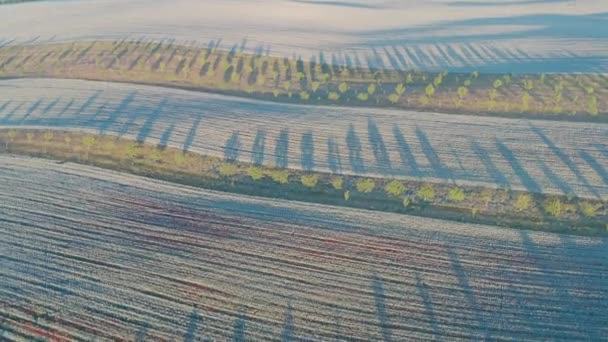 Romantische Zonsondergang Boven Het Landbouwlandschap Luchtfoto Landschap Zomer Lente Velden — Stockvideo