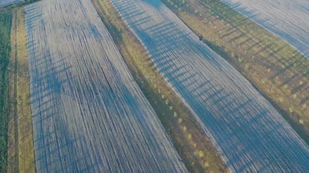 Pôr Sol Romântico Sobre Paisagem Agrícola Tiro Aéreo Paisagem Rural — Vídeo de Stock