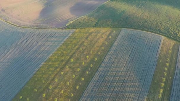 Tramonto Romantico Sul Paesaggio Agricolo Colpo Aereo Paesaggio Campagna Durante — Video Stock