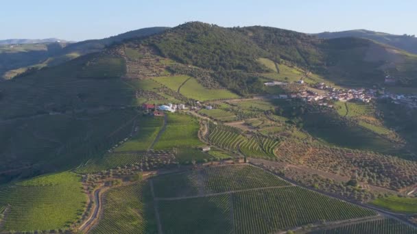 Dramatic Sunset Agricultural Landscape Aerial Shot Countryside Landscape Summer Spring — Vídeo de Stock