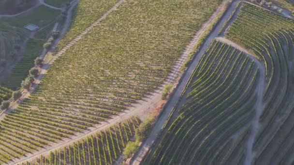 Drammatico Tramonto Sul Paesaggio Agricolo Scatto Aereo Paesaggio Campagna Durante — Video Stock