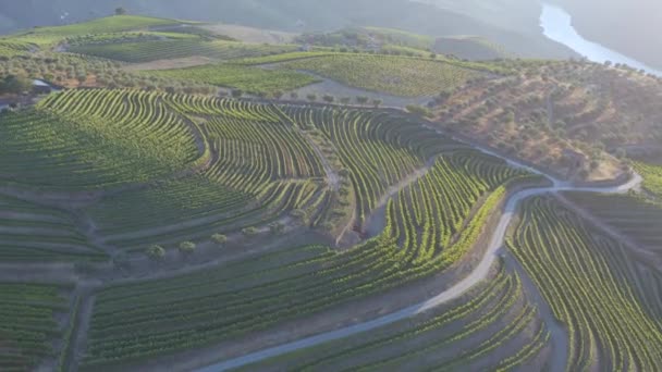 Dramatic Sunset Agricultural Landscape Aerial Shot Countryside Landscape Summer Spring — Αρχείο Βίντεο