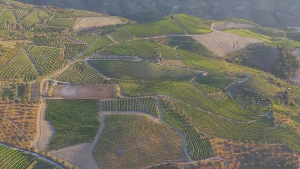 Dramatischer Sonnenuntergang Über Der Agrarlandschaft Luftaufnahme Landschaft Sommer Oder Frühling — Stockvideo