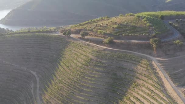 Dramatische Zonsondergang Het Landbouwlandschap Luchtfoto Landschapslandschap Zomer Lente Velden Weiden — Stockvideo