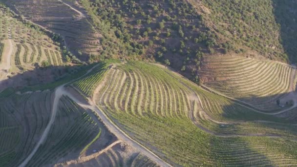 Dramatischer Sonnenuntergang Über Der Agrarlandschaft Luftaufnahme Landschaft Sommer Oder Frühling — Stockvideo