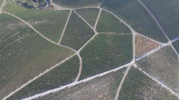 Dramatic Sunset Agricultural Landscape Aerial Shot Countryside Landscape Summer Spring — Αρχείο Βίντεο