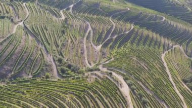 Dramatic sunset over the agricultural landscape Aerial shot, countryside landscape during summer or spring time. Fields and meadows in Moravia, Czech republic. Sunset time