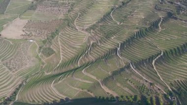 Dramatic sunset over the agricultural landscape Aerial shot, countryside landscape during summer or spring time. Fields and meadows in Moravia, Czech republic. Sunset time