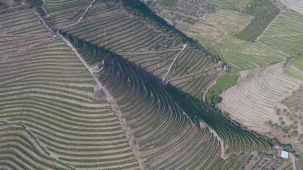 Dramatische Zonsondergang Het Landbouwlandschap Luchtfoto Landschapslandschap Zomer Lente Velden Weiden — Stockvideo