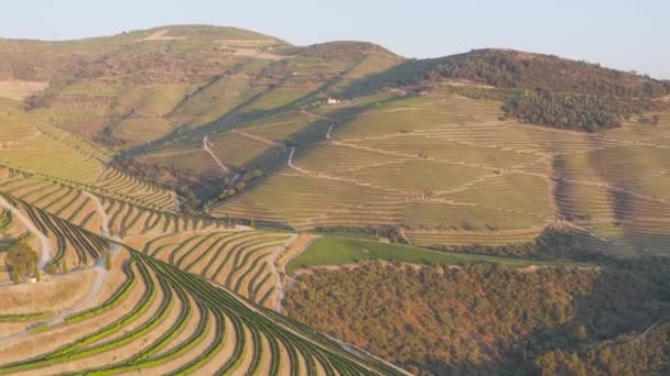 Dramatic Sunset Agricultural Landscape Aerial Shot Countryside Landscape Summer Spring — Αρχείο Βίντεο