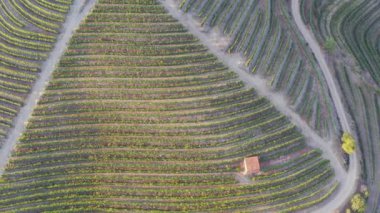Dramatic sunset over the agricultural landscape Aerial shot, countryside landscape during summer or spring time. Fields and meadows in Moravia, Czech republic. Sunset time