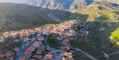 Pinhao köyü yakınlarındaki Douro Vadisi 'nde romantik günbatımında teraslı üzüm bağlarının hava manzarası. Portekiz 'de seyahat ve Portekiz' deki en güzel yerler için şarap çiftliği Unesco.