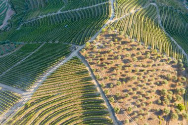 Dramatic sunset over the agricultural landscape Aerial shot, countryside landscape during summer or spring time. Fields and meadows in Moravia, Czech republic. Sunset time