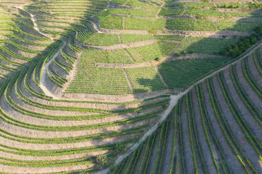 Dramatic sunset over the agricultural landscape Aerial shot, countryside landscape during summer or spring time. Fields and meadows in Moravia, Czech republic. Sunset time