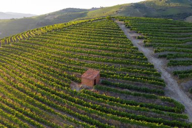 Dramatic sunset over the agricultural landscape Aerial shot, countryside landscape during summer or spring time. Fields and meadows in Moravia, Czech republic. Sunset time