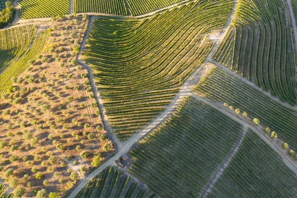 Dramatic Sunset Agricultural Landscape Aerial Shot Countryside Landscape Summer Spring — Stock Photo, Image