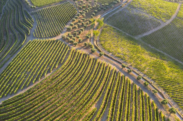 Dramatic Sunset Agricultural Landscape Aerial Shot Countryside Landscape Summer Spring — Fotografia de Stock