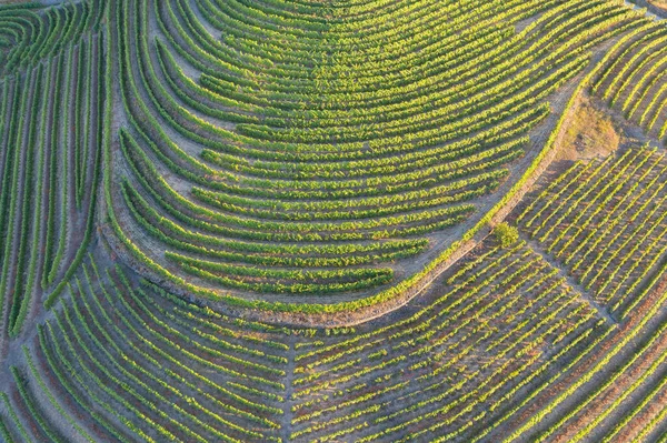 Dramatic Sunset Agricultural Landscape Aerial Shot Countryside Landscape Summer Spring — Stock Photo, Image