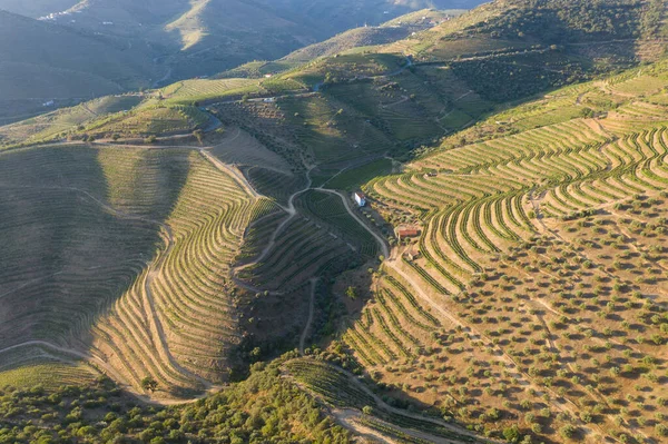 Dramatic Sunset Agricultural Landscape Aerial Shot Countryside Landscape Summer Spring — ストック写真