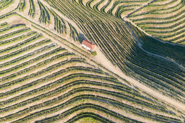 Dramatischer Sonnenuntergang Über Der Agrarlandschaft Luftaufnahme Landschaft Sommer Oder Frühling — Stockfoto