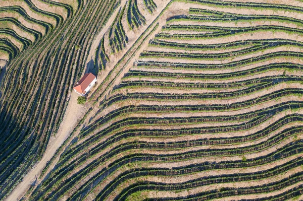 Dramatic Sunset Agricultural Landscape Aerial Shot Countryside Landscape Summer Spring — Photo