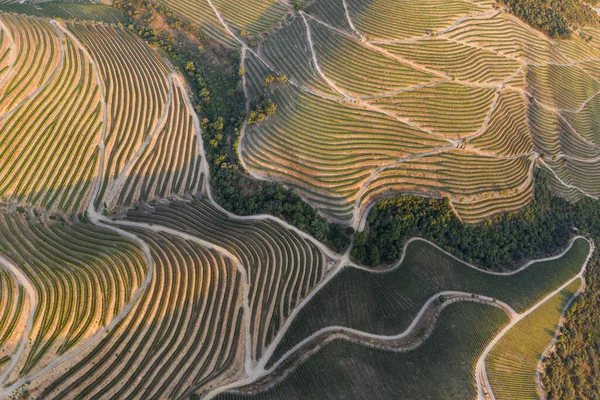 Dramática Puesta Sol Sobre Paisaje Agrícola Plano Aéreo Paisaje Rural — Foto de Stock