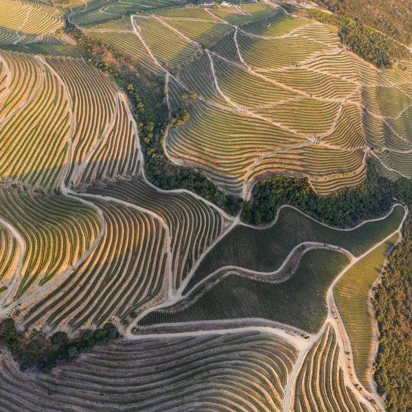 Dramatic Sunset Agricultural Landscape Aerial Shot Countryside Landscape Summer Spring — Stock Photo, Image