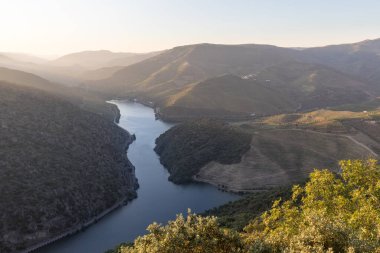 Pinhao köyü yakınlarındaki Douro Vadisi 'nde romantik günbatımında teraslı üzüm bağlarının hava manzarası. Portekiz 'de seyahat ve Portekiz' deki en güzel yerler için şarap çiftliği Unesco.