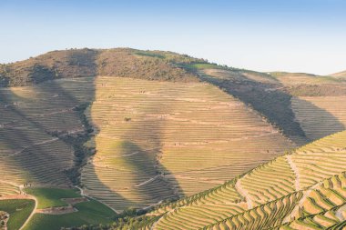 Pinhao köyü yakınlarındaki Douro Vadisi 'nde romantik günbatımında teraslı üzüm bağlarının hava manzarası. Portekiz 'de seyahat ve Portekiz' deki en güzel yerler için şarap çiftliği Unesco.