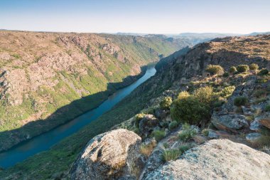 Pinhao köyü yakınlarındaki Douro Vadisi 'nde romantik günbatımında teraslı üzüm bağlarının hava manzarası. Portekiz 'de seyahat ve Portekiz' deki en güzel yerler için şarap çiftliği Unesco.