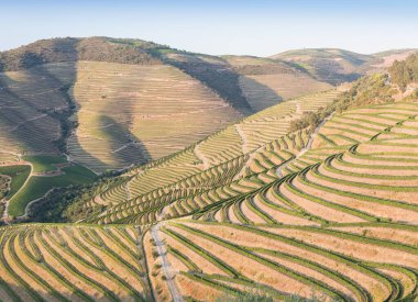 Pinhao köyü yakınlarındaki Douro Vadisi 'nde romantik günbatımında teraslı üzüm bağlarının hava manzarası. Portekiz 'de seyahat ve Portekiz' deki en güzel yerler için şarap çiftliği Unesco.