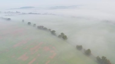 Tarlalı tarımsal manzaranın havadan görünüşü. Fotoğraf Avrupa 'da çekildi. Yeşil tarlaları ve gün batımında kırsal arazileri olan güzel, evrensel bir kırsal alan.