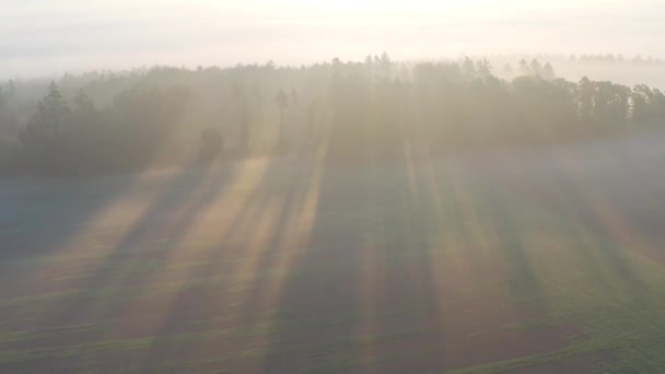 Luchtfoto Van Landbouwlandschap Met Veld Foto Genomen Europa Prachtig Universeel — Stockvideo