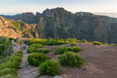Gün batımında Adrıspanak kayaları. Adrspach Teplice 'deki kayalık oluşumlar, uçurumlar ve ağaçlardaki patika izlerinin yukarıdan görünüşü milli parkı sarsıyor. Adrspach, Bohemya, Çek Cumhuriyeti, Çek Dağları manzarası.