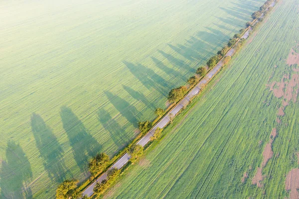 Vue Aérienne Paysage Agricole Avec Des Champs Avec Une Route — Photo