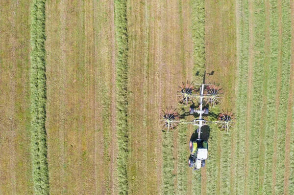 Nahaufnahme Eines Traktors Der Gemähtes Gras Zum Trocknen Für Heu — Stockfoto