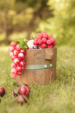 een groep van peer vruchten op witte achtergrond