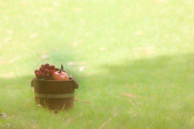 een groep van peer vruchten op witte achtergrond