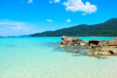 Taşlar ve berrak Denizi