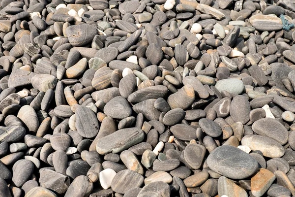 Pebbles na ilha — Fotografia de Stock