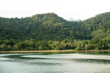 Picturesque landscape