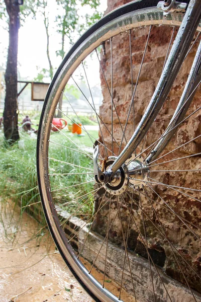 Nahaufnahme Fahrrad Rad in einem regnerischen — Stockfoto