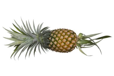 Beyaz arkaplanda izole edilmiş bir ananas..